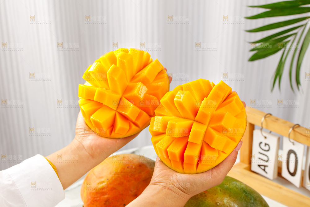 手里拿着凯特芒
