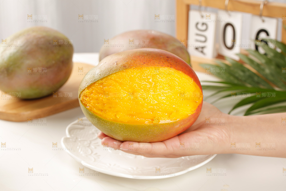 手里拿着凯特芒