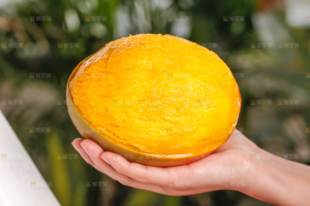 手里拿着凯特芒