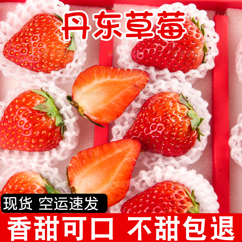 礼盒装新鲜丹东草莓