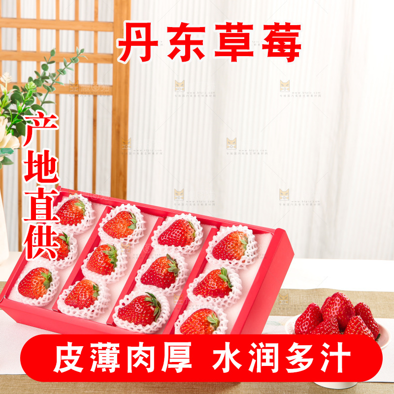礼盒装新鲜丹东草莓