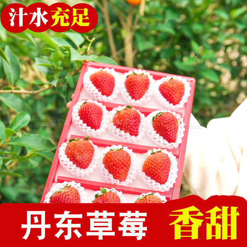 礼盒装新鲜丹东草莓