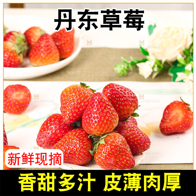 浅底上的丹东大草莓