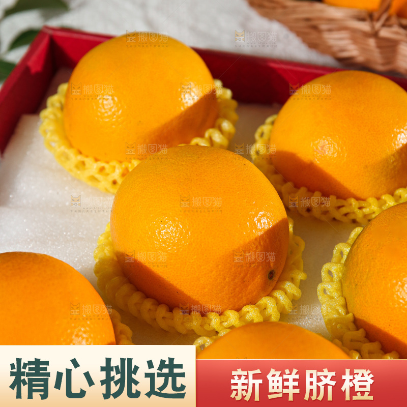 浅底上的赣南脐橙