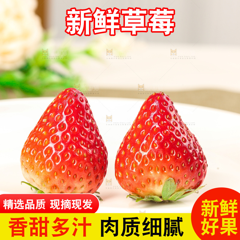 浅底上的丹东大草莓