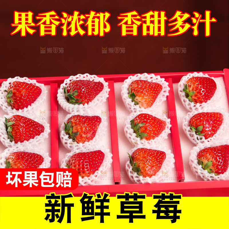 礼盒装新鲜丹东草莓