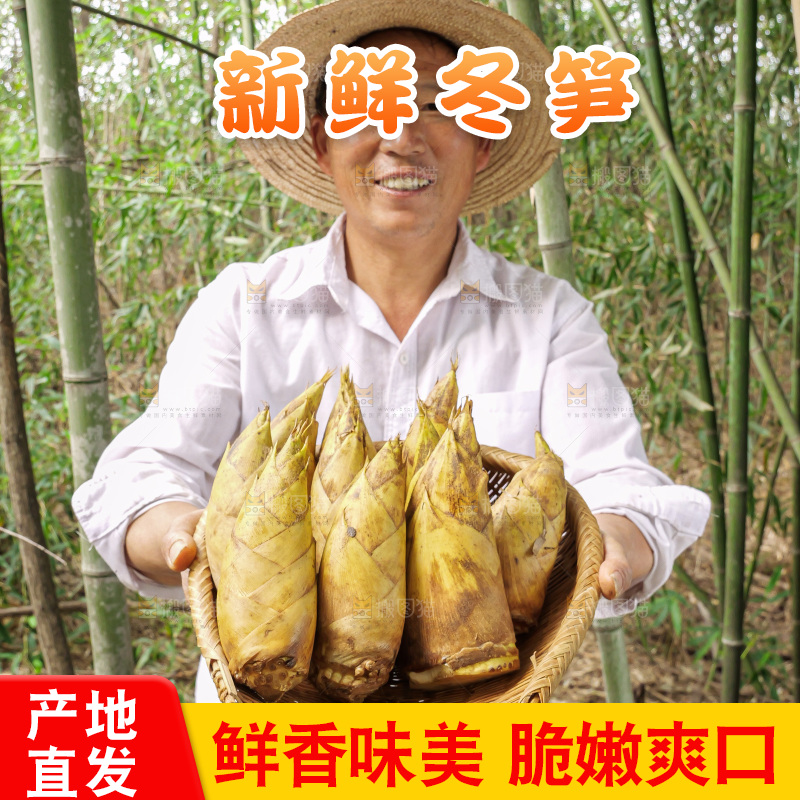 手里拿着的大冬笋