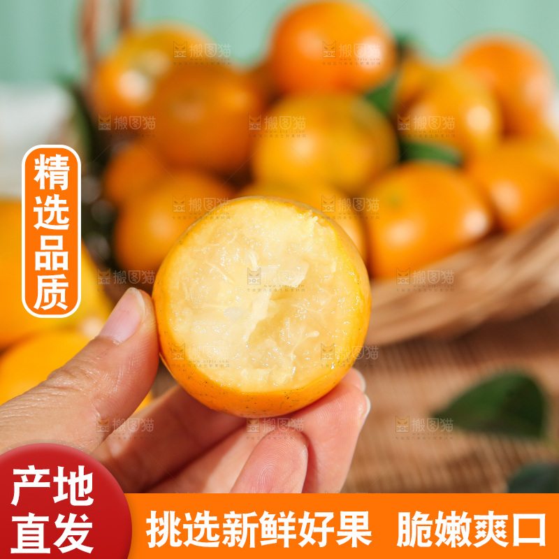 浅底上的脆皮金桔