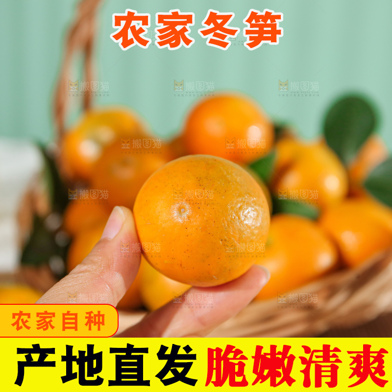 浅底上的脆皮金桔