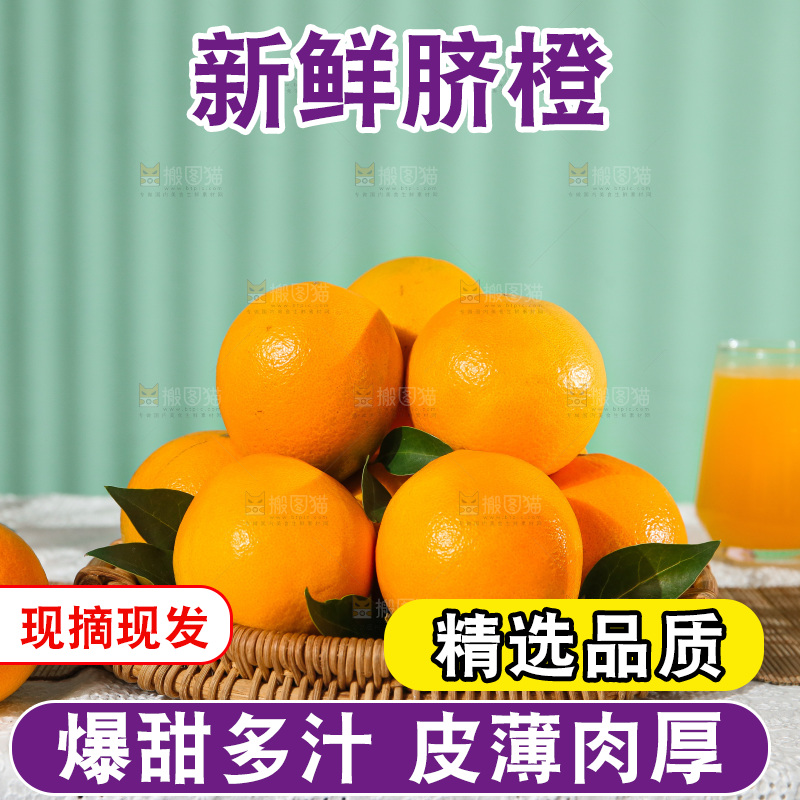 浅底上的赣南脐橙