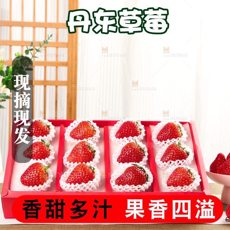 礼盒装新鲜丹东草莓