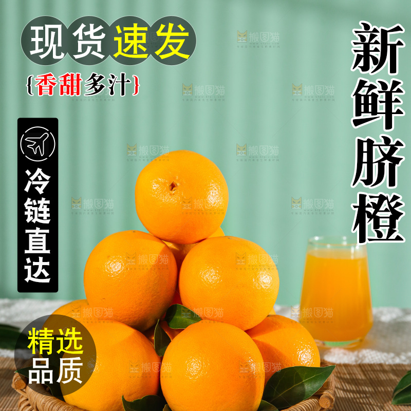 浅底上的赣南脐橙