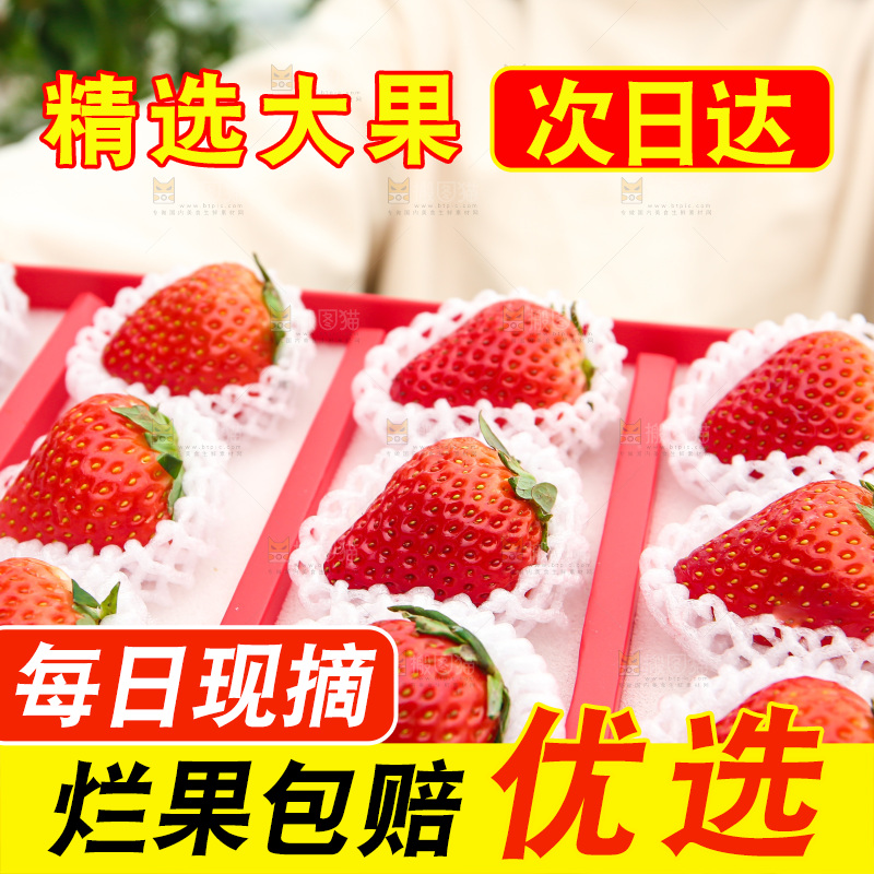 礼盒装新鲜丹东草莓
