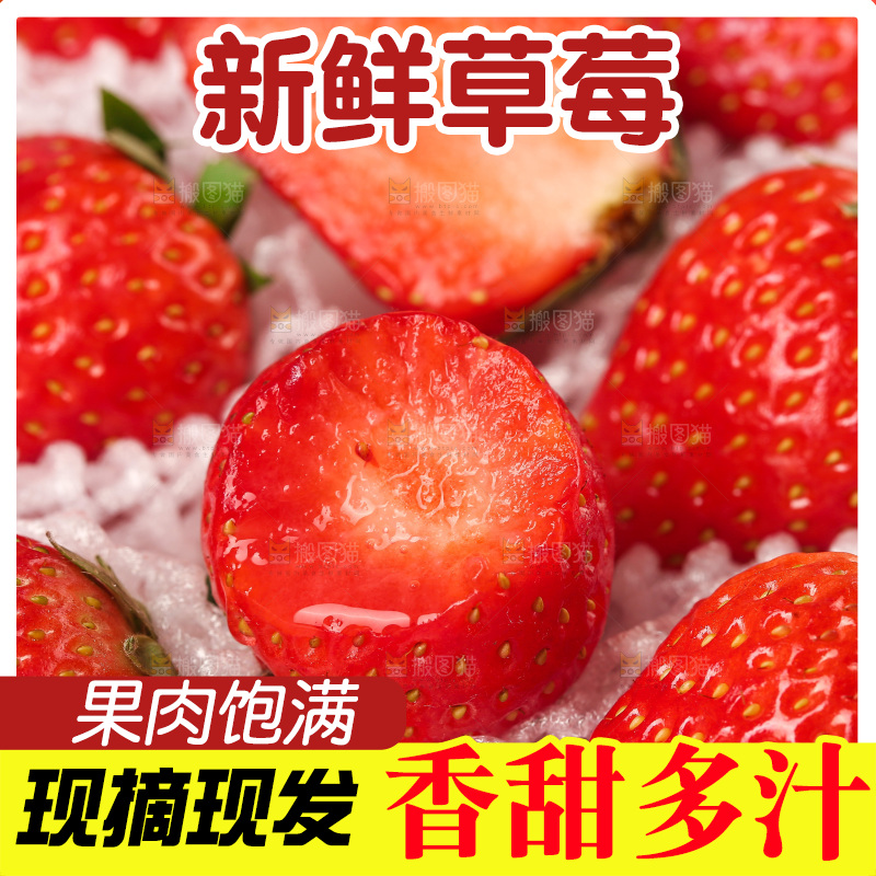 浅底上的丹东大草莓