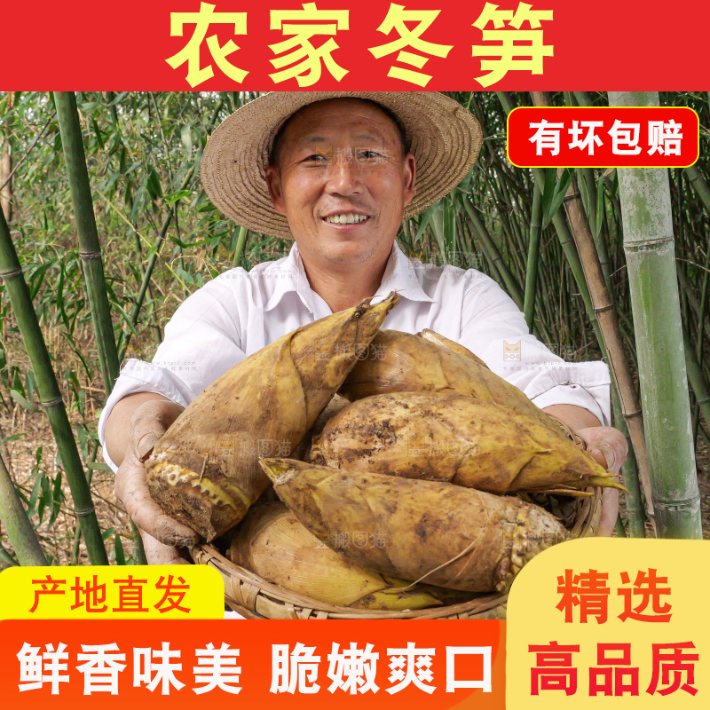 手里拿着的大冬笋