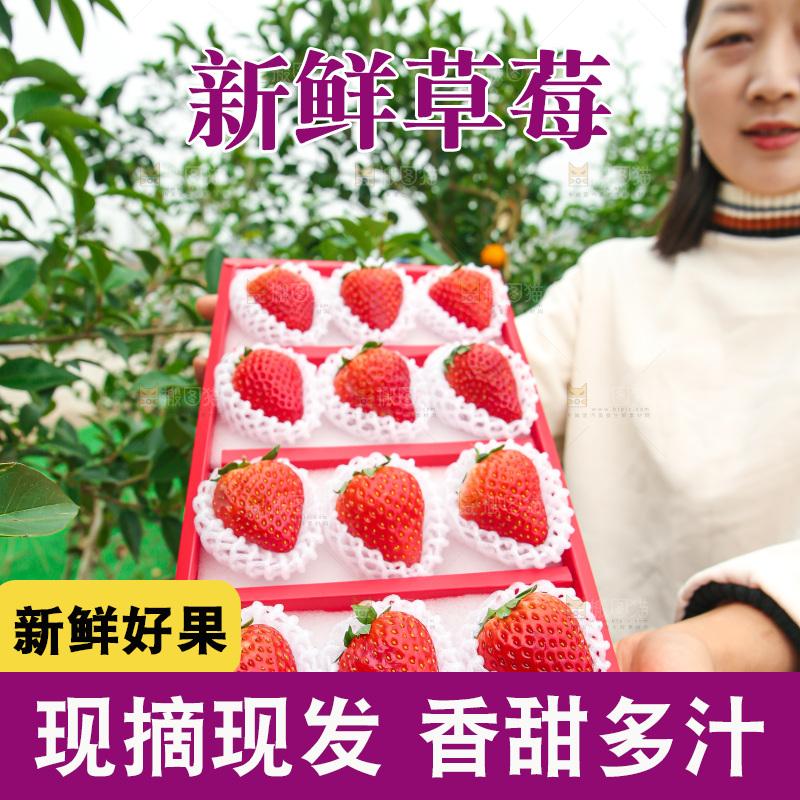 礼盒装新鲜丹东草莓