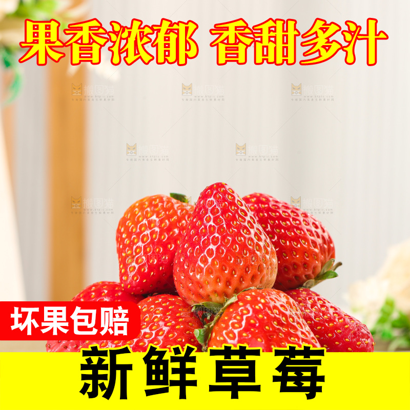 浅底上的丹东大草莓