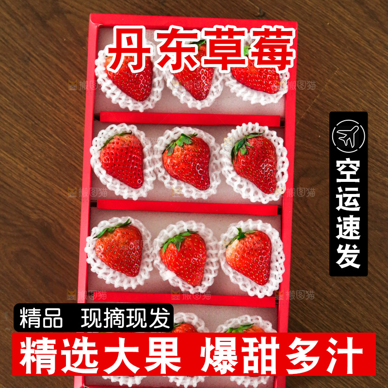 礼盒装新鲜丹东草莓