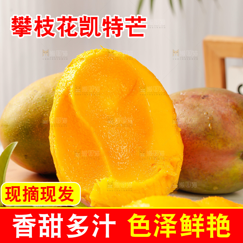 浅底上的凯特芒