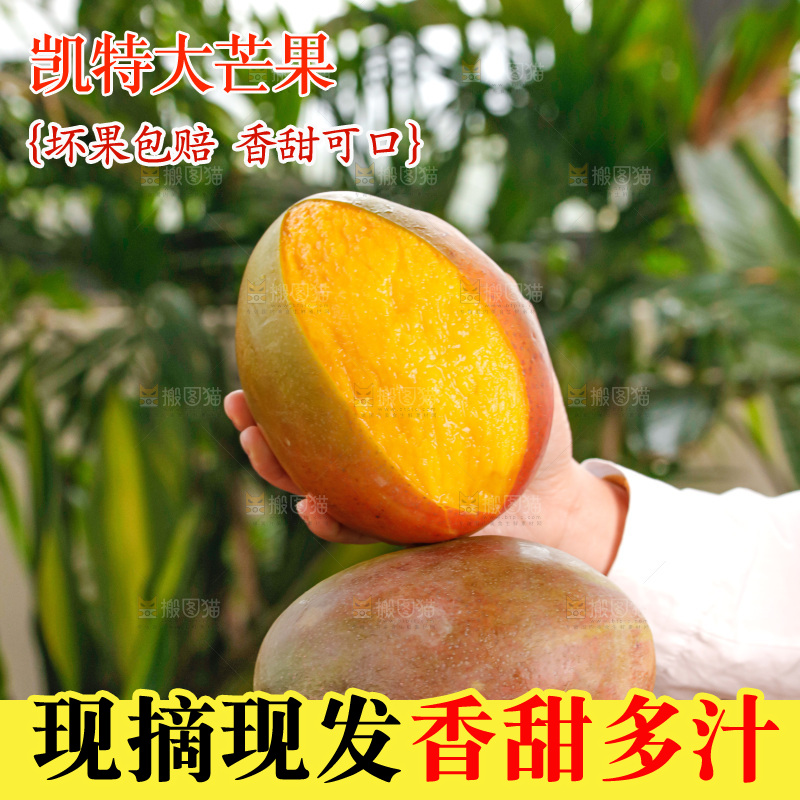 手里拿着凯特芒