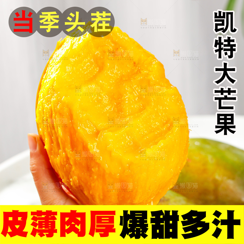 浅底上的凯特芒