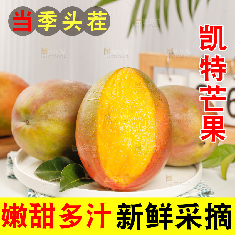 浅底上的凯特芒