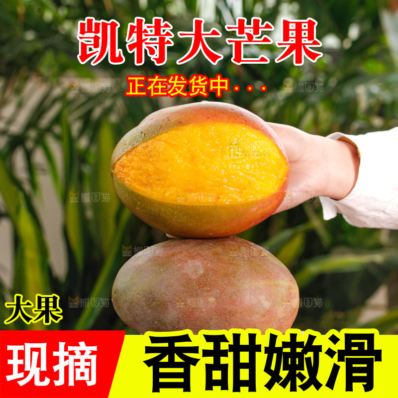 手里拿着凯特芒