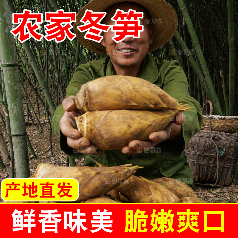 手里拿着的大冬笋