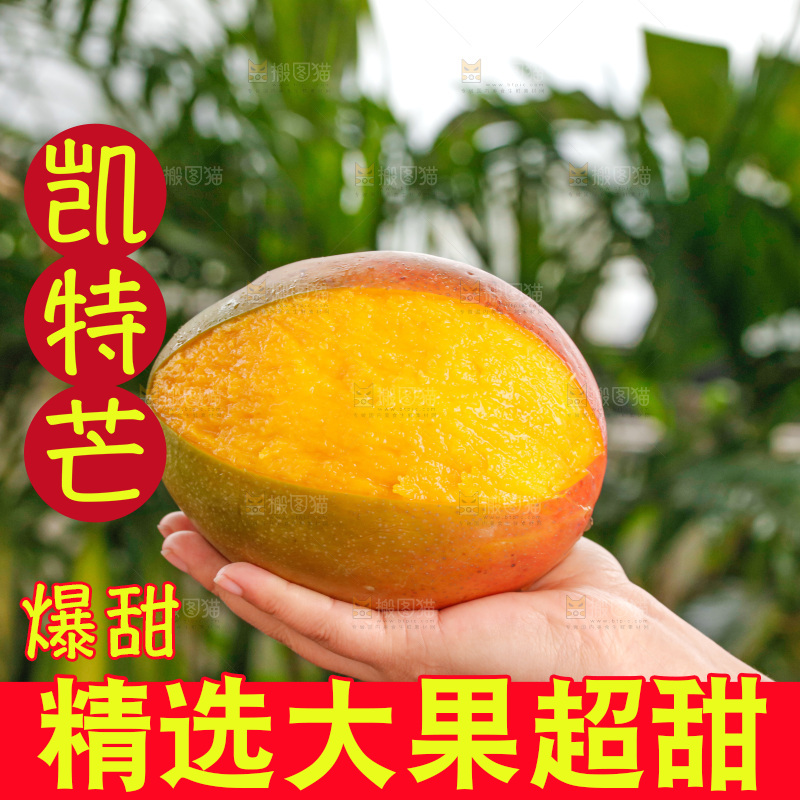 手里拿着凯特芒