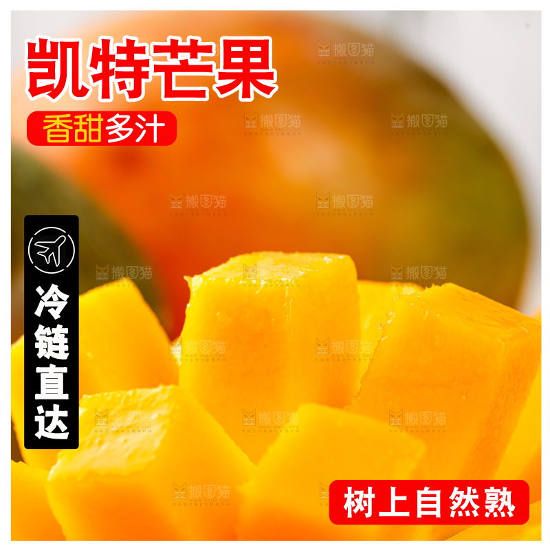 浅底上的凯特芒