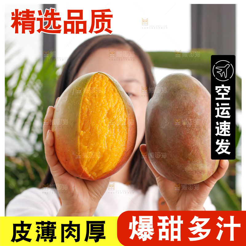 手里拿着凯特芒