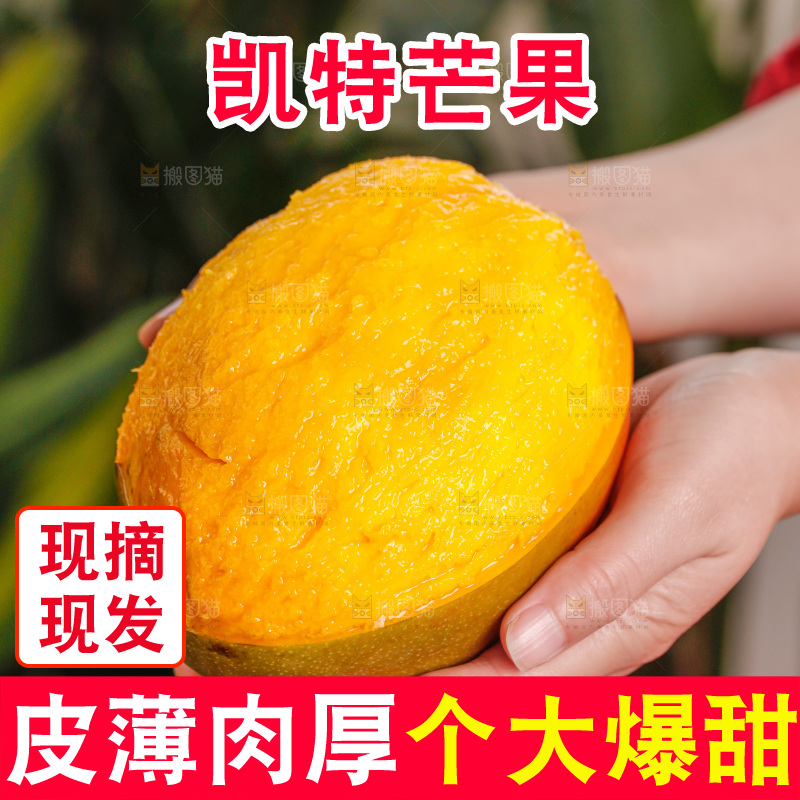 手里拿着凯特芒
