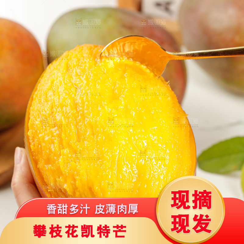 手里拿着凯特芒
