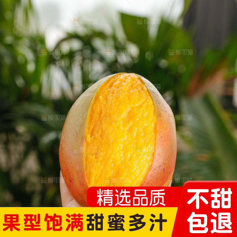 手里拿着凯特芒