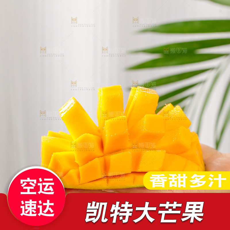 手里拿着凯特芒