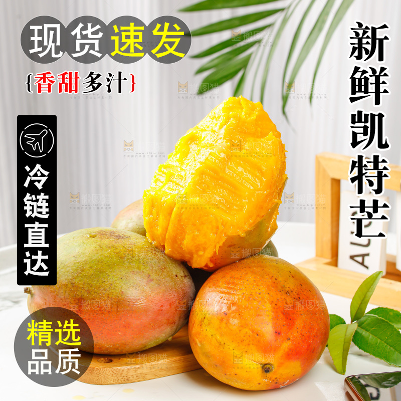 浅底上的凯特芒