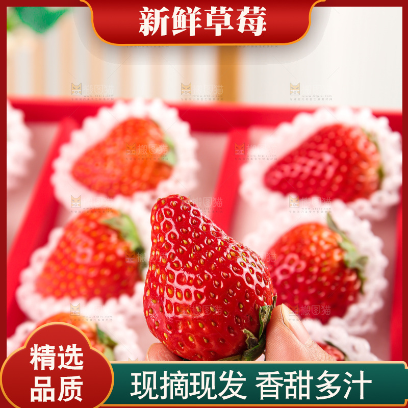 礼盒装新鲜丹东草莓