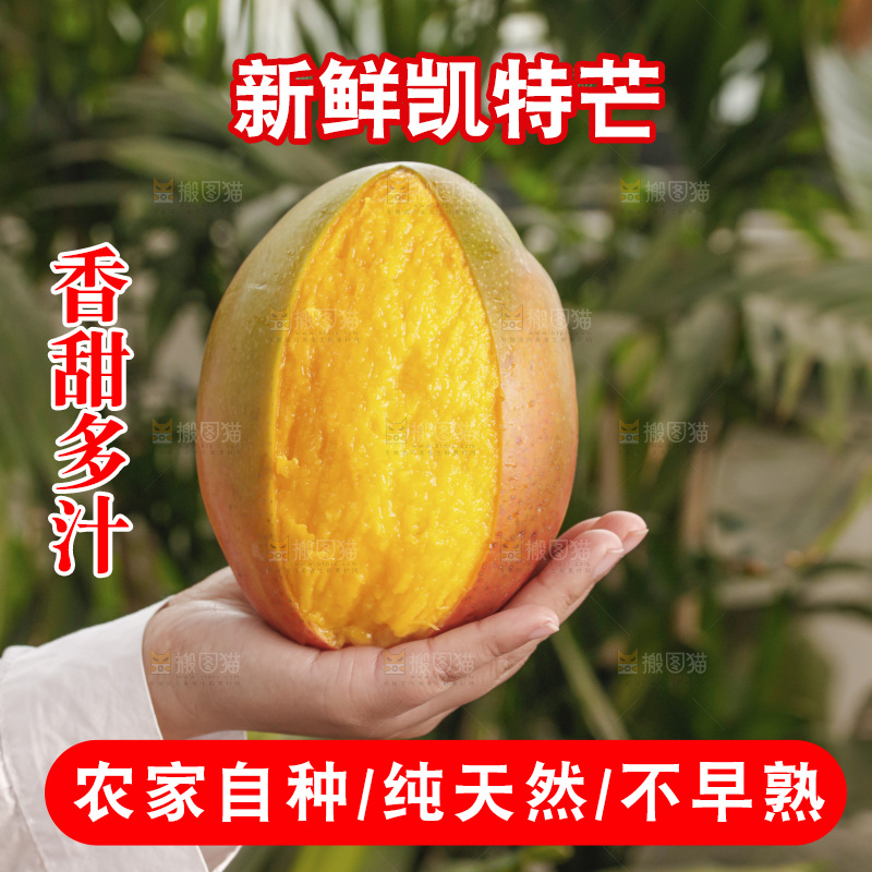 手里拿着凯特芒