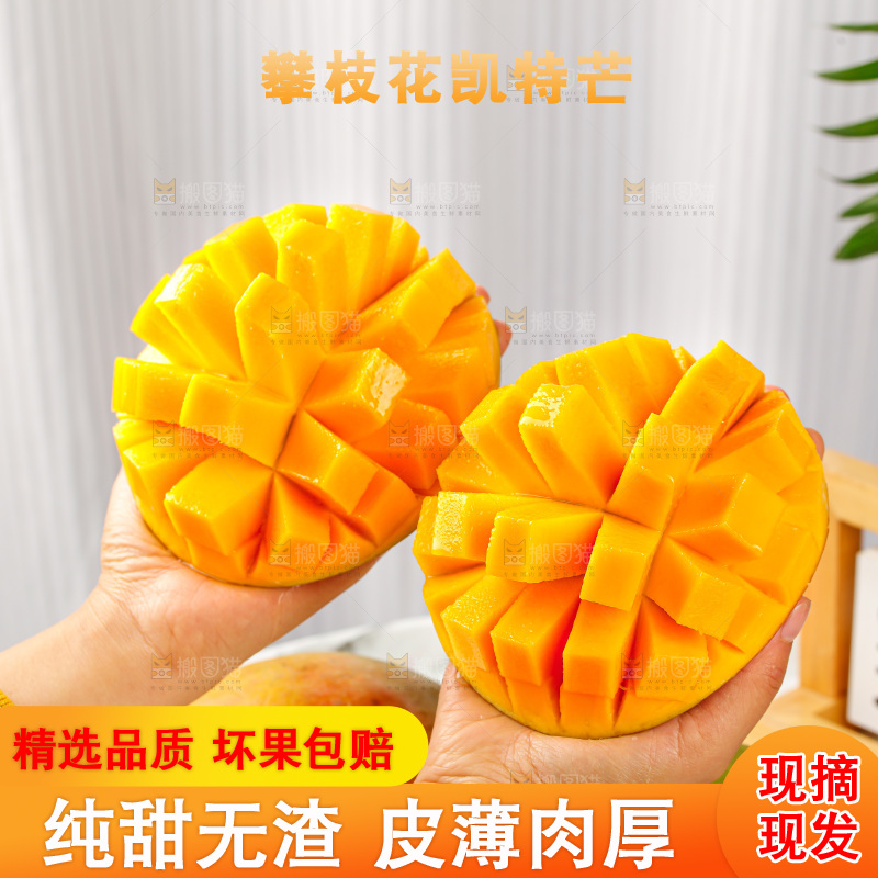 手里拿着凯特芒