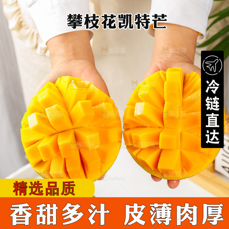 手里拿着凯特芒