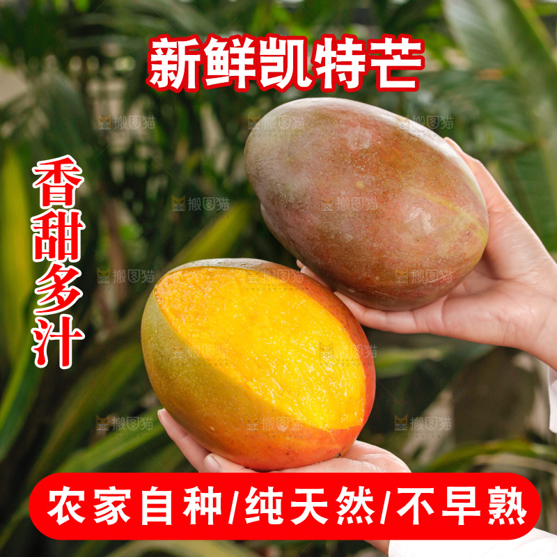 手里拿着凯特芒