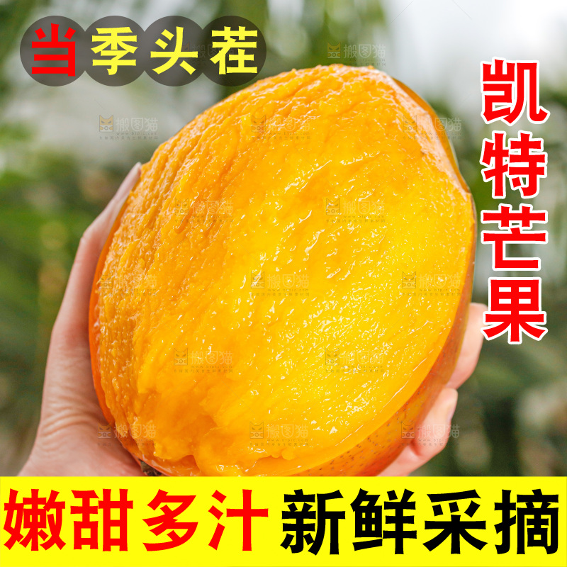 手里拿着凯特芒