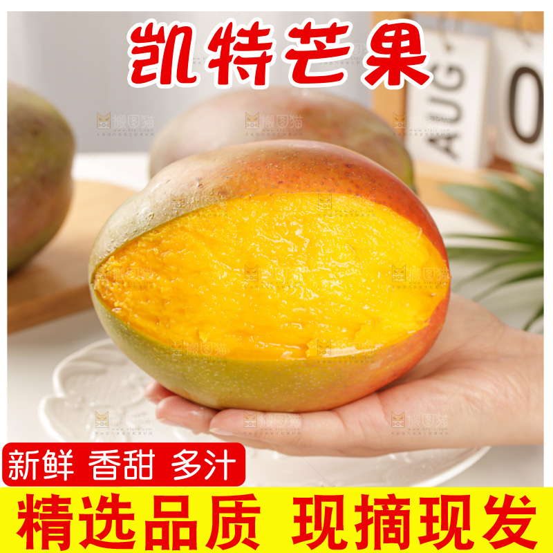 手里拿着凯特芒