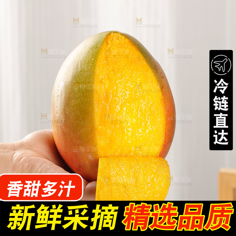 手里拿着凯特芒