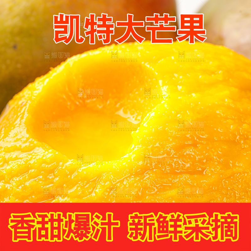 浅底上的凯特芒