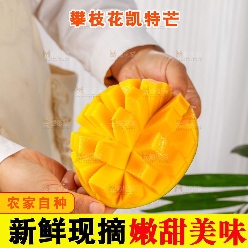 手里拿着凯特芒