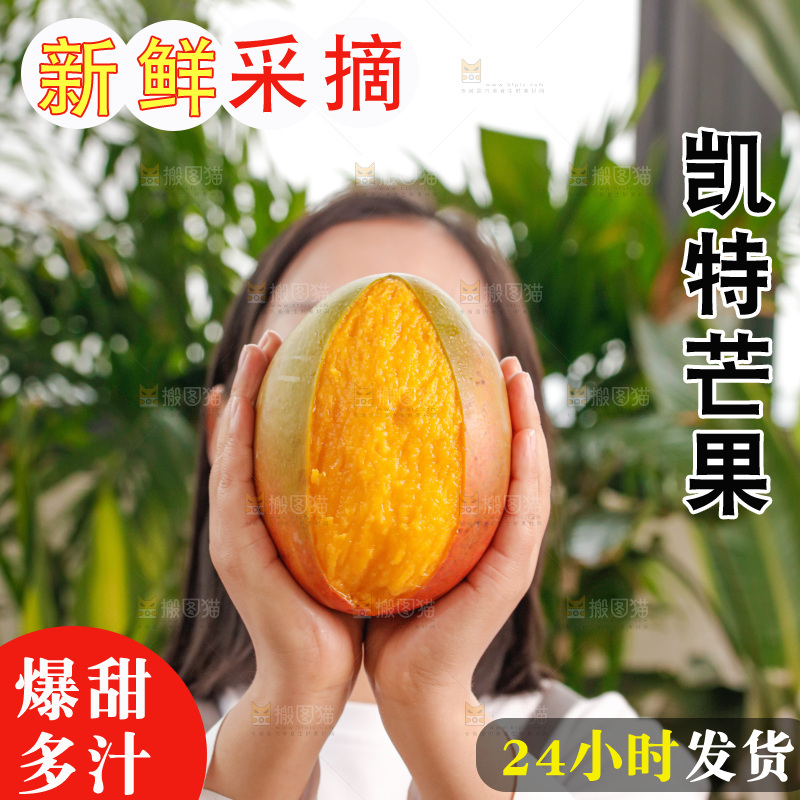 手里拿着凯特芒