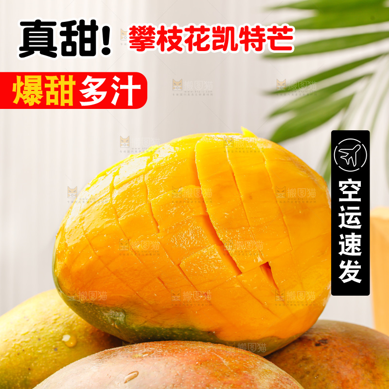 浅底上的凯特芒