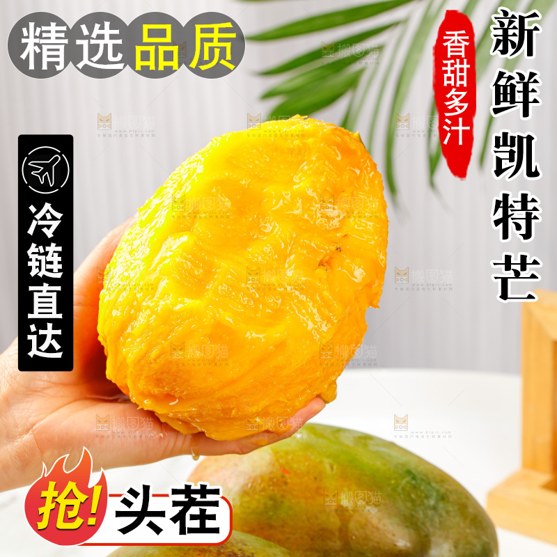 浅底上的凯特芒