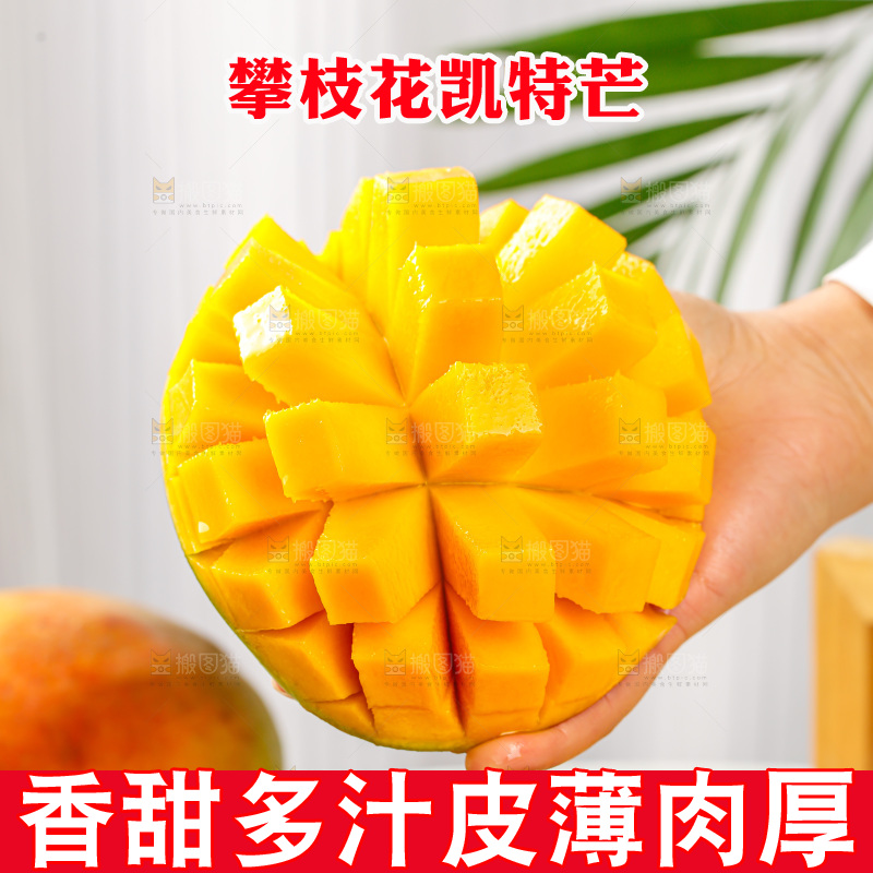 手里拿着凯特芒